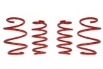 COBRA 00.4930.C / lowering springs, 4pcs, (30mm / 25mm), (/),
