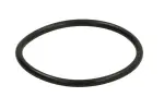 DANA SPICER 001.05.0048-DS / differential element (o-ring) fits: dana spicer