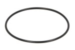 DANA SPICER 001.05.1239-DS / differential element (o-ring) fits: dana spicer
