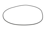 DANA SPICER 001.05.3338-DS / differential element (o-ring) fits: dana spicer
