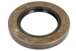 DANA SPICER 001.13.1234-DS / rear axle seal ring fits: dana spicer