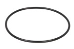 DANA SPICER 001.05.0820 / differential element (o-ring) fits: dana spicer