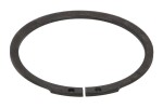 DANA SPICER 002.01.1794-DS / differential element (protection) suitable for: dana spicer