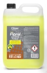 CLINEX FLORAL CITRO 10L