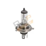 pirn h4 12v 55w /rap/