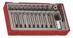 TENGTOOLS-NARZĘDZIA 68860105 / nasadki trzpienieowe z grotami tx, w zastewie z chwytem 1/2 23 elementy tttx23