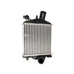 CLIMTEX CH4-977
