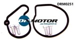 DR MOTOR DRM0251