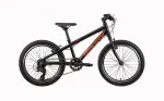Lasteratas Bianchi XR20 20 tolli