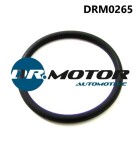 DR MOTOR DRM0265 / gasket set, egr system