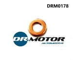 DR MOTOR DRM0178 / seal ring, nozzle holder