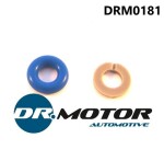 DR.MOTOR DRM0181 / injector assembly kit