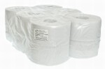 tualettpaber (wc-paber) suur ROL multi pakend 12 tk 100m 2-kihiline 12tk makulatuur