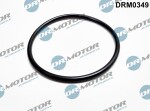 DR MOTOR DRM0349 / gasket, vacuum pump