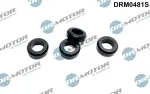 Seal Ring Set,  injector valve