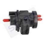 STARQ SQ424-11196