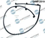 DR MOTOR DRM12019