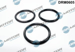 DR MOTOR DRM0605 / gasket, water pump