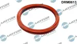 DR MOTOR DRM0613 / seal, throttle body