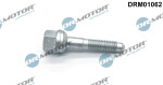 DR.MOTOR DRM01062 / injector screw