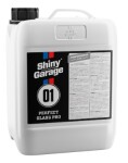 PERFECT GLASS PRO 5l