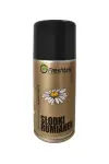 õhuvärskendaja SLODKI RUMIANEK 250ml sobib DOZOWNIKA AIRWICK,GLADE,MERIDA /FRESHTEK/