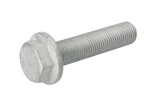 kruvi, piduriketas 0501318112zf