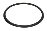 ZF 0501 330 319 / sealing ring