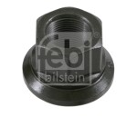 Wheel nut front/rear M22x1,5 x31mm (Phosphate conversion coated / Steel, open end) fits: DAF 65, 65 CF, 75, 75 CF, 85, 85 CF, 95, 95 XF, CF, CF 65, CF 75, CF 85, F 1800, F 1900, F 2100, F 2300