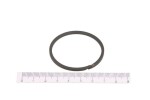 ZF 0734.317.279 / gearbox gasket/leak stopper (48x2.4x2.5)