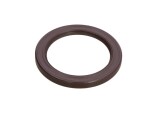 ZF 0734.319.419 / gearbox gasket/leak stopper (60x80x7.5)