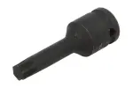 1/2" torx-padrunvõti(d) t55 - 0x334555