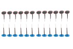 rehviremondi seened 24tk 4,5mm