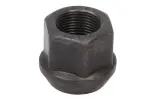 wheel nut 10089669-ds