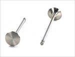 TRW 105-35600 / exhaust valve (42.5x9x159mm) fits: daf fits: daf 85 cf, 95 xf, cf 85, xf 95, bova futura, magiq, synergy, solaris vacanza xe250c-xf355m 01.97-
