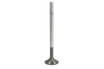 TRW 105-35655 / exhaust valve (41x10x171.6mm) fits: scania fits: scania gi, g ii, interlink, ki, omniexpress, pi, p ii, ri, r ii, s, touring, van hool tx dc13.107-dc16.21 11.07-