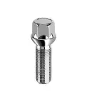 Bimecc rattapolt S17D37R13 M14x1.5x37 17 mm Hex R13 1 tk