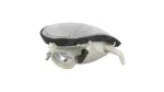 JESSE LAI KBB01-67403E / indicator accent 98- /l/