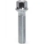 Bimecc rattapolt S17D65R14 M14x1.5x65 17 mm Hex R14 1 tk