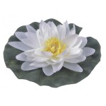 Liilia valge O 15cm