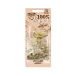 lõhn INSENTI ORGANIC vanilje