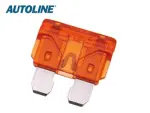 Kaitse GM 40A 19x20mm