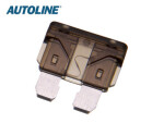 Kaitse standard GM 1A 50tk