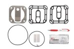 VADEN 1700 100 100 / compressor repair kit knorr (suitable for p. 3869) suitable for: rvi