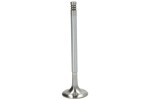 TRW 171125 / intake valve (26.9x6x95.2) fits: alfa romeo giulietta, giulietta/hatchback, mito, fiat brava, bravo i, bravo ii, doblo, doblo cargo, grande punto, idea, linea, palio, punto 1.2-1.4lpg 09.99-