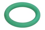 seal ring 17281681-fpt