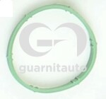 GUARNITAUTO 184763-8100 / manifold gasket /SS/audi a3,golf iv,bora