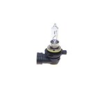 BOSCH HIR2 ECO WS 12V 55W HIR2 1 987 302 828