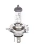 BOSCH H4 +100% ECO Plus 100 WS 12V 60/55W  1 987 302 833
