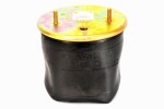 PHOENIX 1 DK 22 E-9 NP / air cushions rear ((en) without base) fits: saf